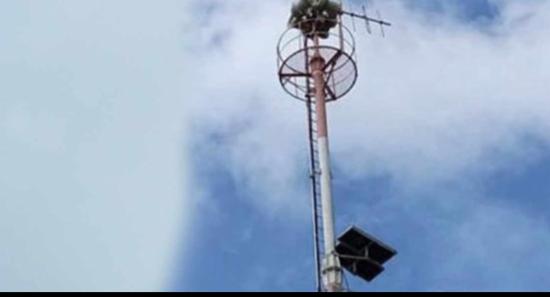 අක්‍රීය වූ සුනාමි කුළුණු යළි සක්‍රීය කිරීම ඇරඹේ..